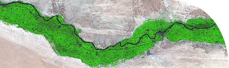 False-colour Landsat satellite image of the Nile Valley, Amarna slightly left of centre. North is to the left.
