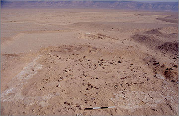 Part of the remains of the gypsum foundation layer for a stone building inside the rectangular enclosure, as recleared for planning in 2001.