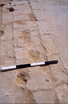 Part of the gypsum foundation layer, showing block impressions