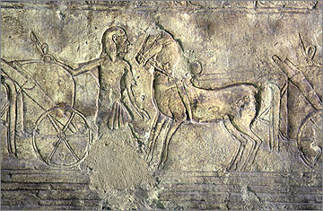 Horse, groom and chariot, Tomb of Meryra, no. 4