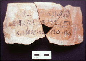 Sherds from a Canaanite amphora with a hieratic inscription listing the vessel contents: . Photograph courtesy of the Petrie Museum.