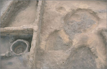 Square T5, with blackened pits <10444>, <10512>, <10519> and <10544> cut into the sandy gebel surface. Note also the circular oven in the lower right. Facing east.