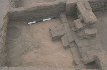 Square Q5 facing south, showing the later thicker wall [10289] west of the earlier wall [10523]. Note also the circular cast of a pottery vessel in the mud surface. Facing south-west. 