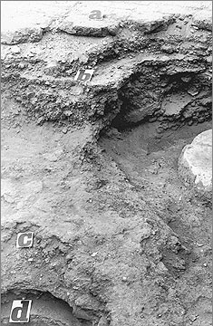 House of Ranefer: part of the floor of the earlier house (c) is visible beneath the brick floor of the earlier house (a). The column base belongs to the earlier house. Deposit (d) is in the second stratification pit and lies beneath the earlier floor. Facing north-east. EES negative 21/76. 
