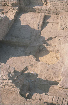 House of Ranefer: central hall. The floors and low walls belong to the earlier house. The round sandy patch is the second 1921 stratification pit. Facing south-west. EES slide 02-2/31.