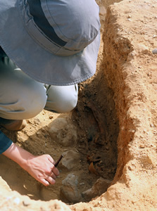 Figure 3. Sarah Ricketts excavates the grave of an infant on the low desert terrace.