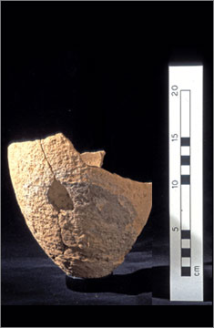 (Fig.25) Siltware jar with deliberate post-firing hole. Sherd number 120328