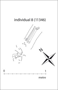 (Fig.20) Individual 8 in square K51