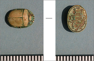 (Fig.24) Steatite scarab (obj. 37630), inscribed ‘the good god, lord of the two lands, Menkheperra, appearing in Thebes' 