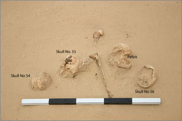 Figure 12. Bone Cluster (11663). View site north