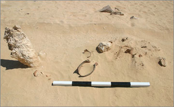 Figure 14. Bone cluster with associated ceramic fragments. The large stone to the left of the image marks the end of an underlying burial pit for Individuals No. 27a and b. View site south