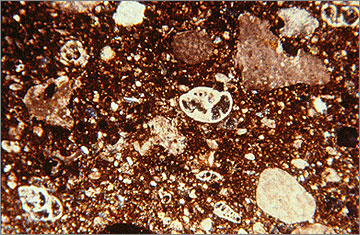 (Fig.23) Thin section of Fabric Group 5