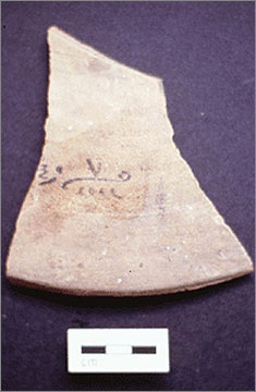 (Fig.9) Part of a hieratic inscription on a Canaanite amphora sherd listing the original contents of the vessel: honey	