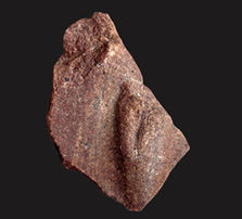 Hand from a statue perhaps holding an offering table, in purple quartzite. Height 8.9 cm; width 7.1 cm; depth 3.4 cm.