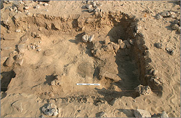 Southern half of the trench, facing east, showing the roughly constructed stone wall [11245] extending into the southern baulk. The dark circular patch by the scale is (11247), probably in situ residue from a destroyed oven. 