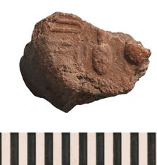 Fragment of a mud sealing impressed with part of the prenomen of Akhenaten (obj. 38103).