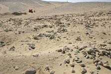 Figure 6: Trench 2 prior to excavation in 2007. Facing south.