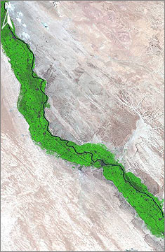 Landsat satellite image used during the Middle Egypt survey